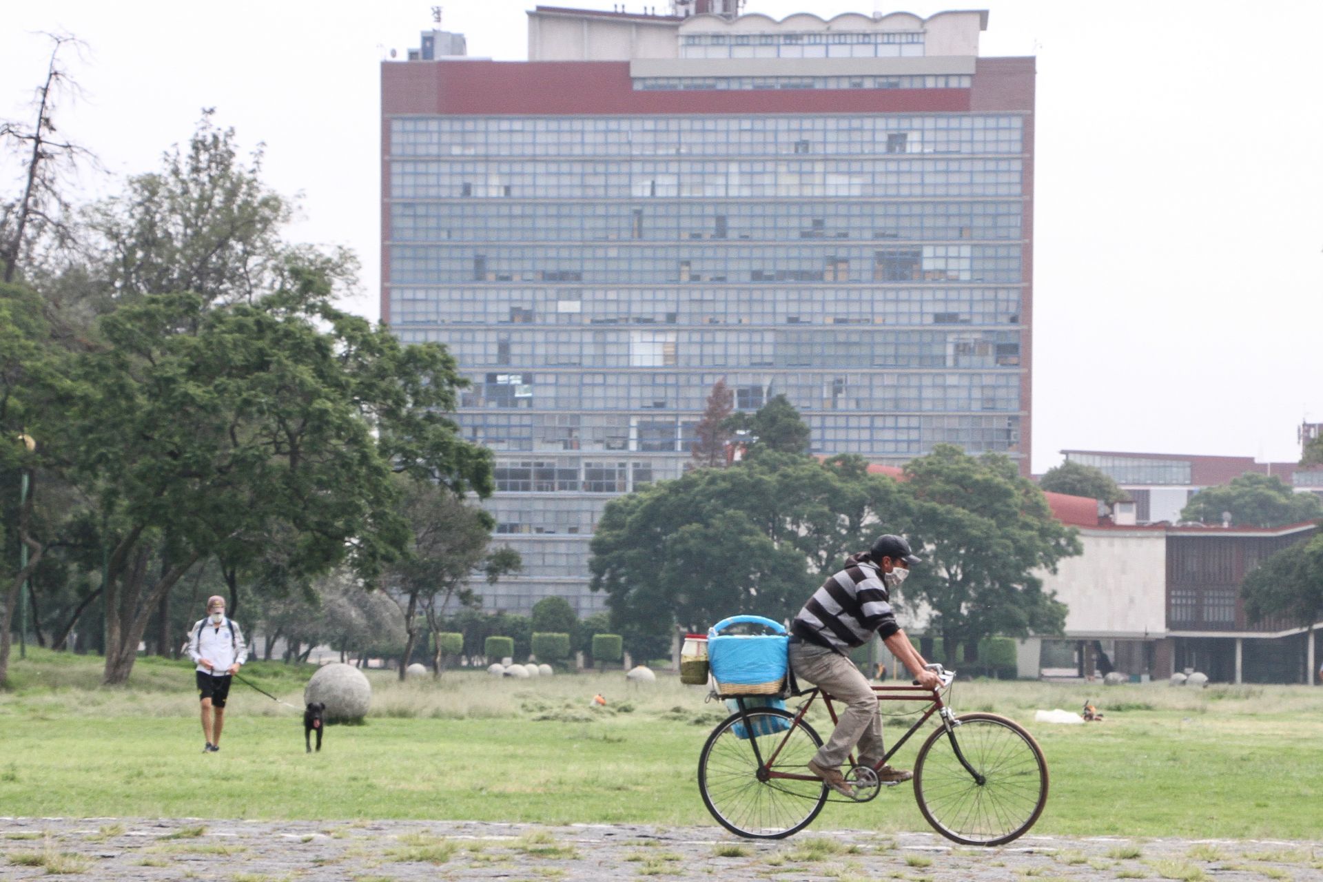 Principalmente a los universitarios y obreros les cae como anillo al dedo toparse con una bici con tacos y recargar energías para el día
FOTO: ROGELIO MORALES /CUARTOSCURO. COM