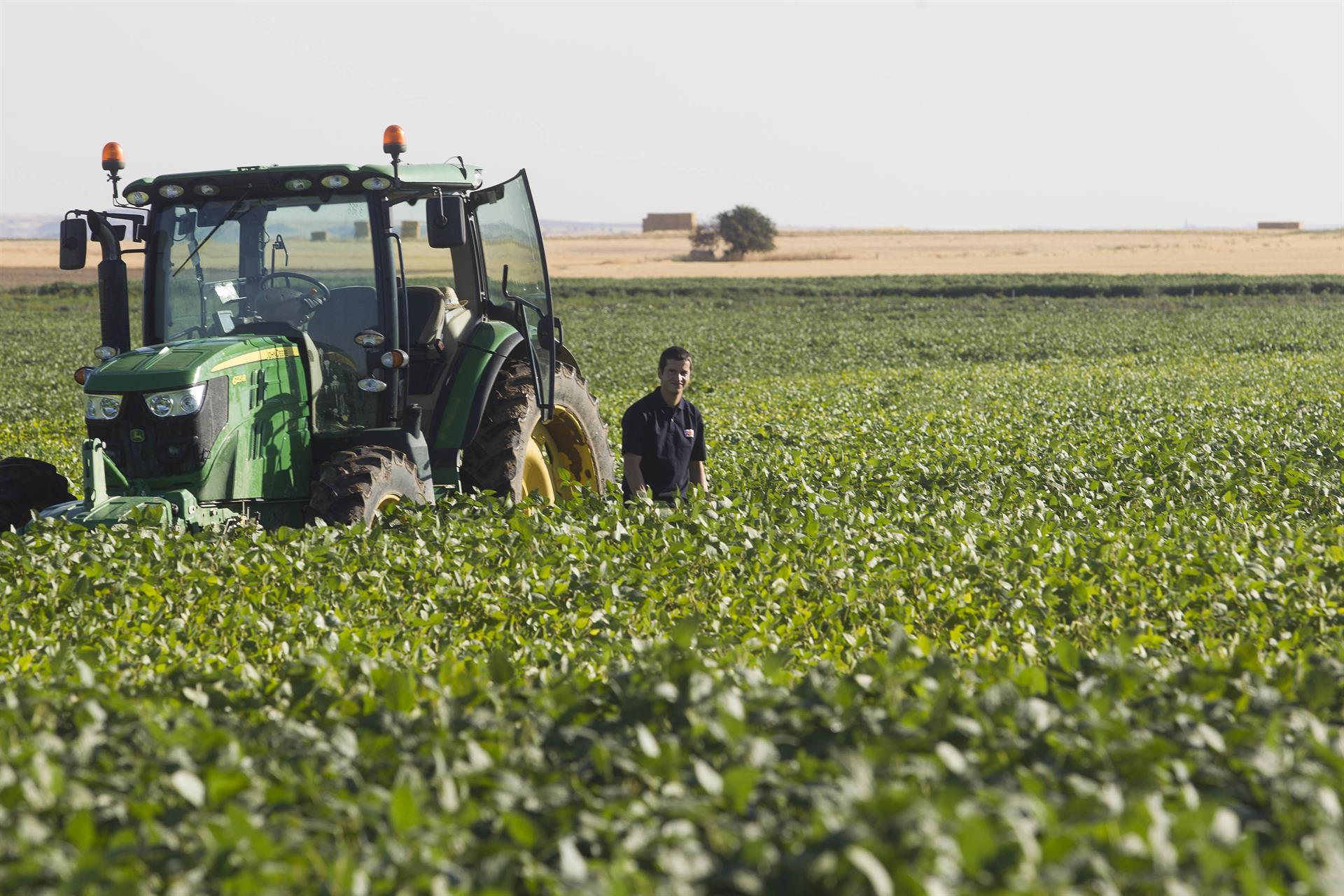 Estiman que la Argentina es el único productor agrícola del mundo que mejoraría su cosecha pese a El Niño