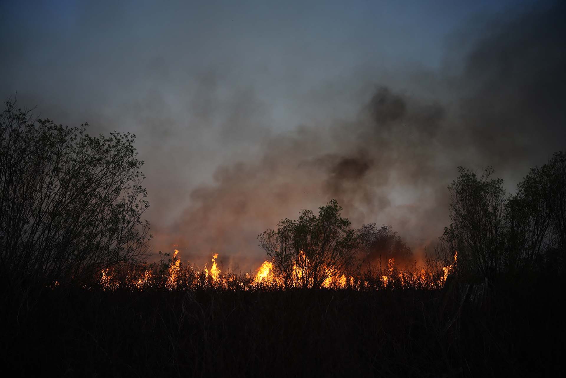 Los focos de incendios se mantienen activos en Entre Ríos, Santa Fe y Buenos Aires