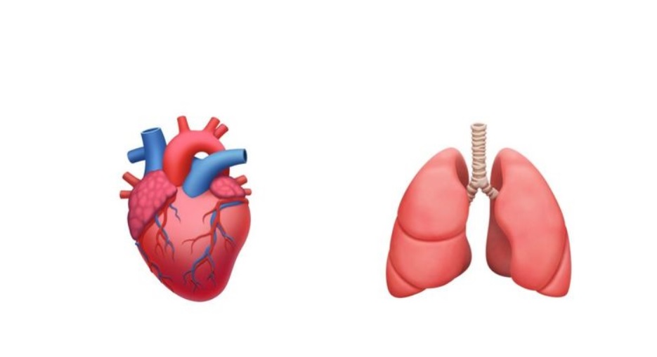 Grupo de doctores pide emojis más realistas de los órganos humanos para facilitar consultas
