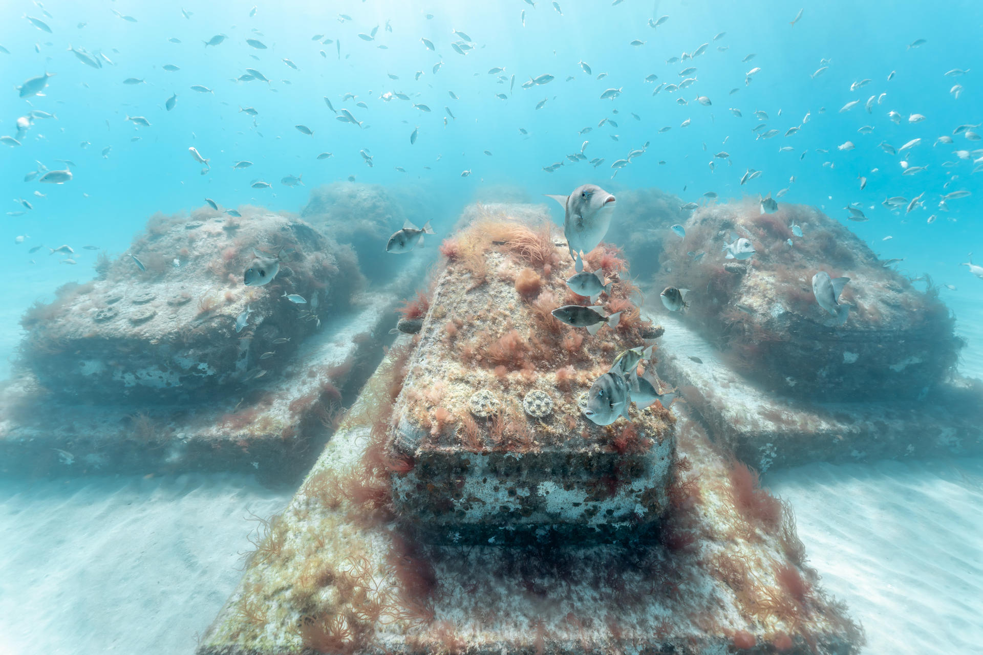 Integró la banda de “El Pollo”, salió libre tras cumplir una condena y volvió a ser detenido por asaltar a un fiscal