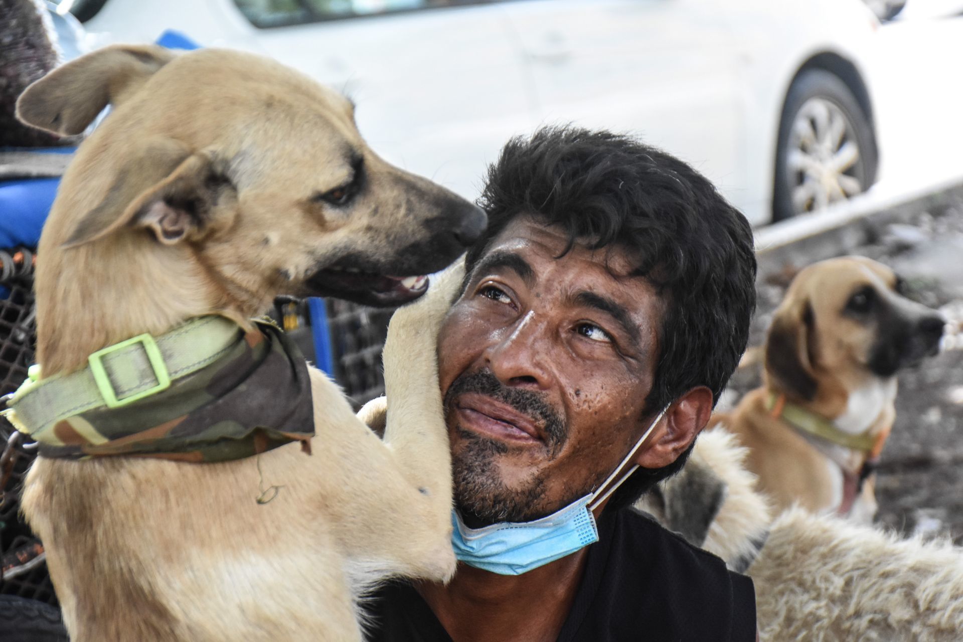 CANCÚN, QUINTANA ROO, 03SEP2021.- Edgardo Zuñiga alias el “Salva Perros" en compañia de uno de sus canes.
FOTOS ELIZABETH RUIZ/CUARTOSCURO.COM