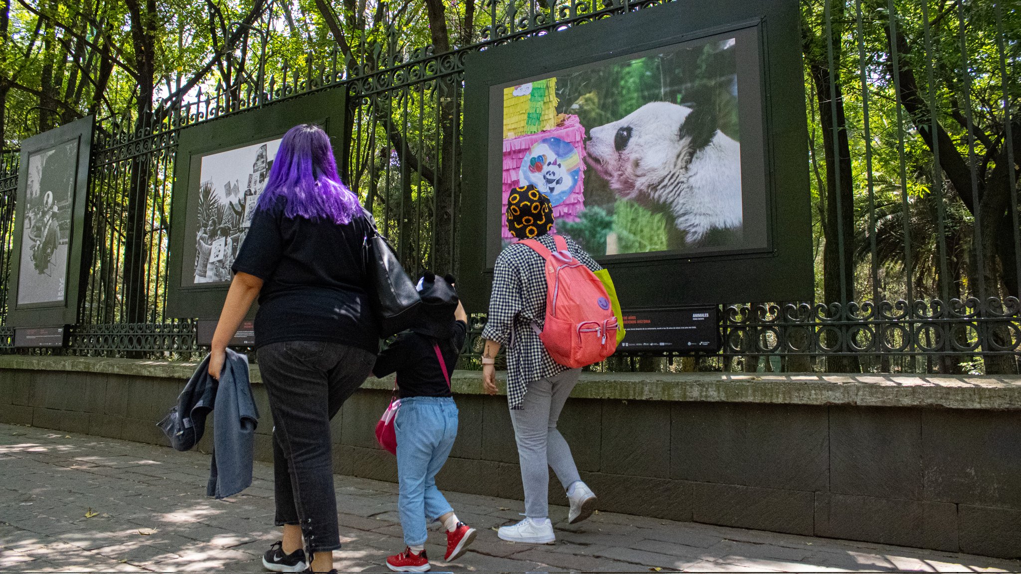At the entrance to the Bosque de Chapultepec there will be a zoo gallery (Twitter/ @ChapultepecCDMX)