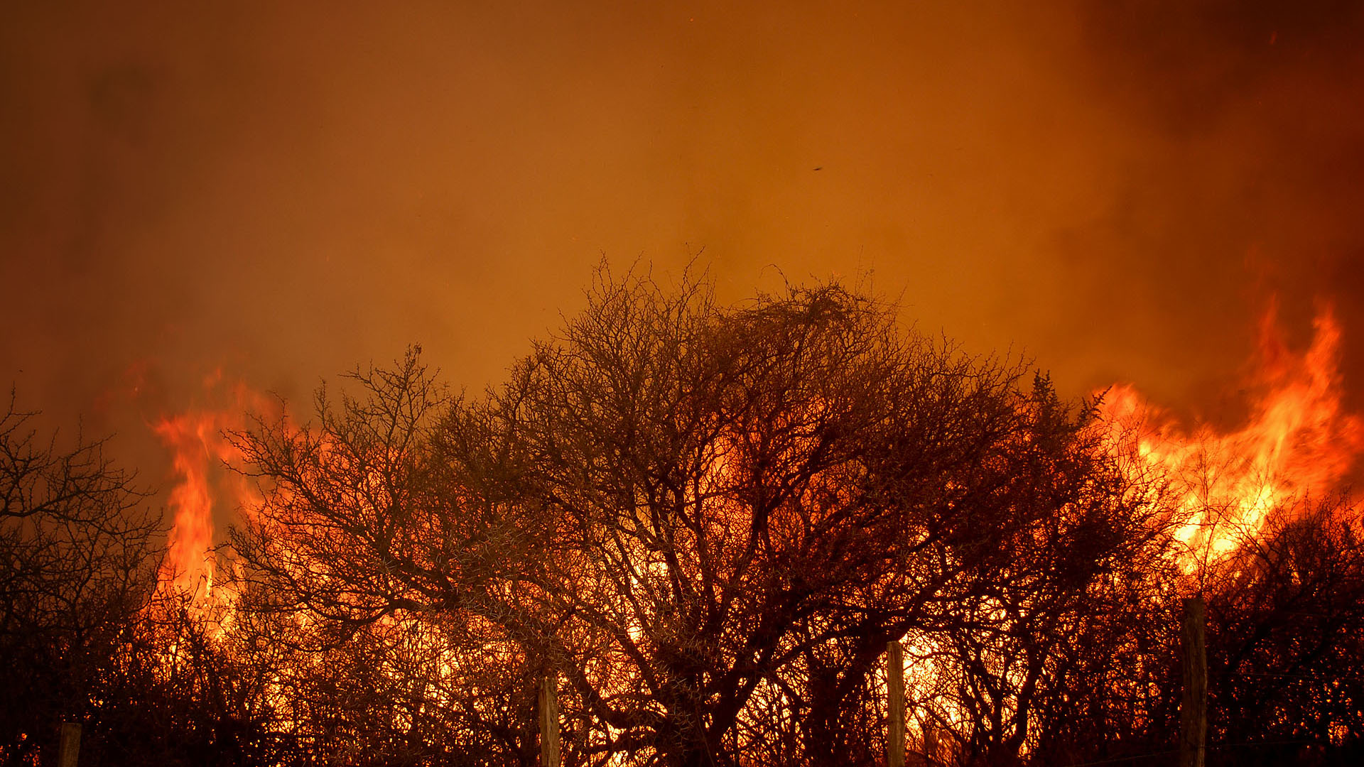 El director de la Regional Córdoba del Instituto Nacional de Tecnología Agropecuaria, Juan Cruz Molina, manifestó este domingo que los incendios forestales ya quemaron alrededor de 191.000 hectáreas en la provincia (Mario Sar)