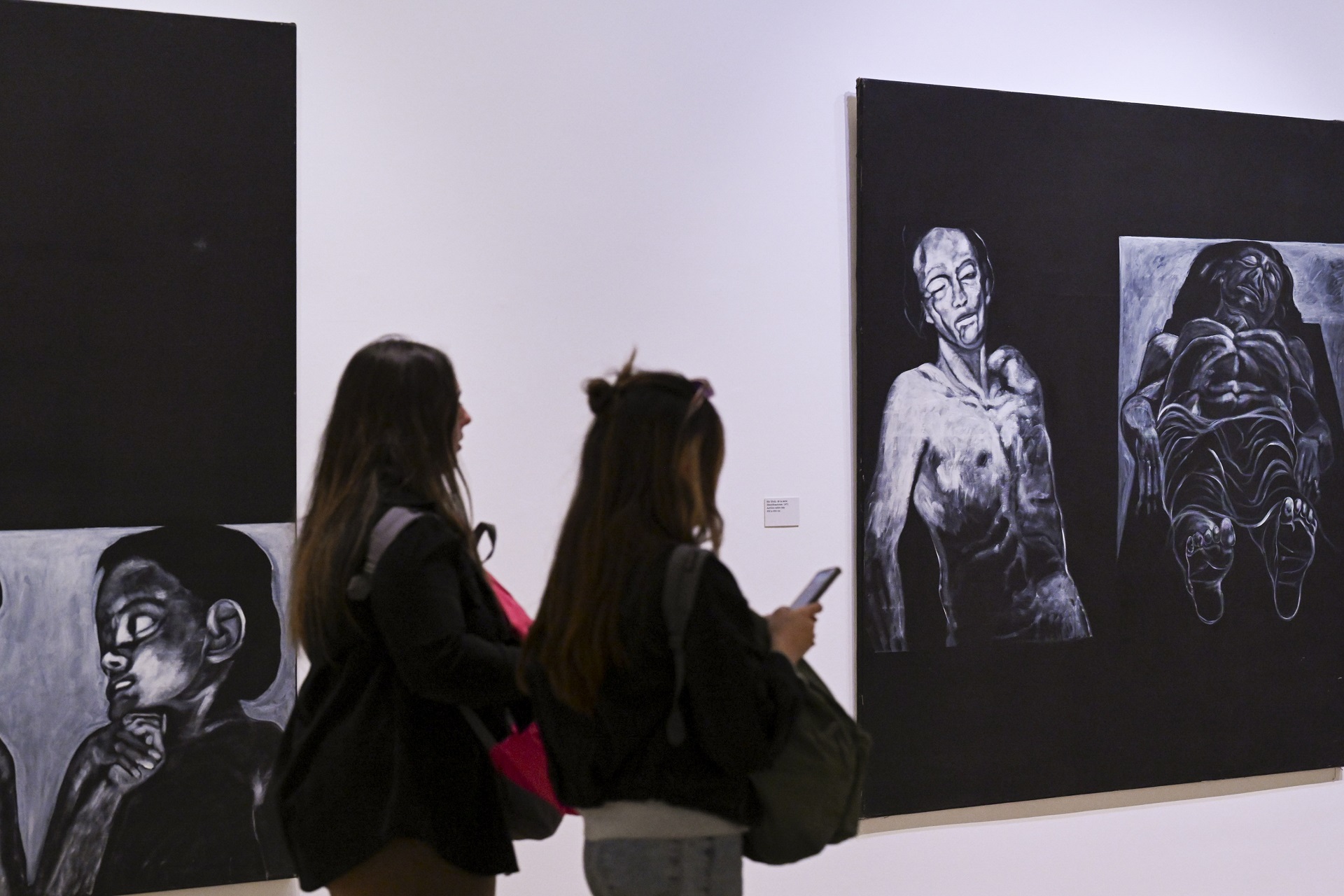 "Ernesto Deira. Identificaciones" en el Bellas Artes (Foto: Télam)