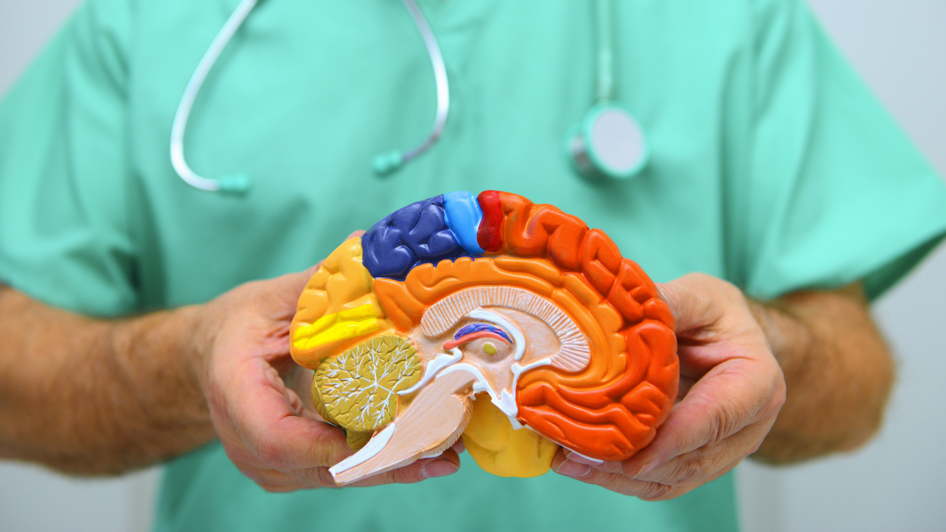 11 estrategias para mejorar la salud del cerebro y evitar el Alzheimer