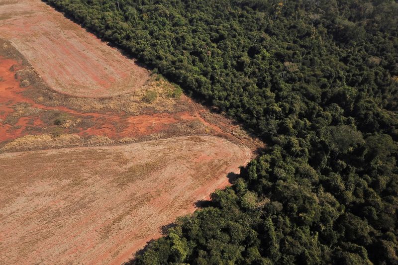 Una vista aérea muestra la deforestación cerca de un bosque en la frontera entre la Amazonia y el Cerrado en Nova Xavantina, en el estado de Mato Grosso (Foto: REUTERS/Amanda Perobelli)