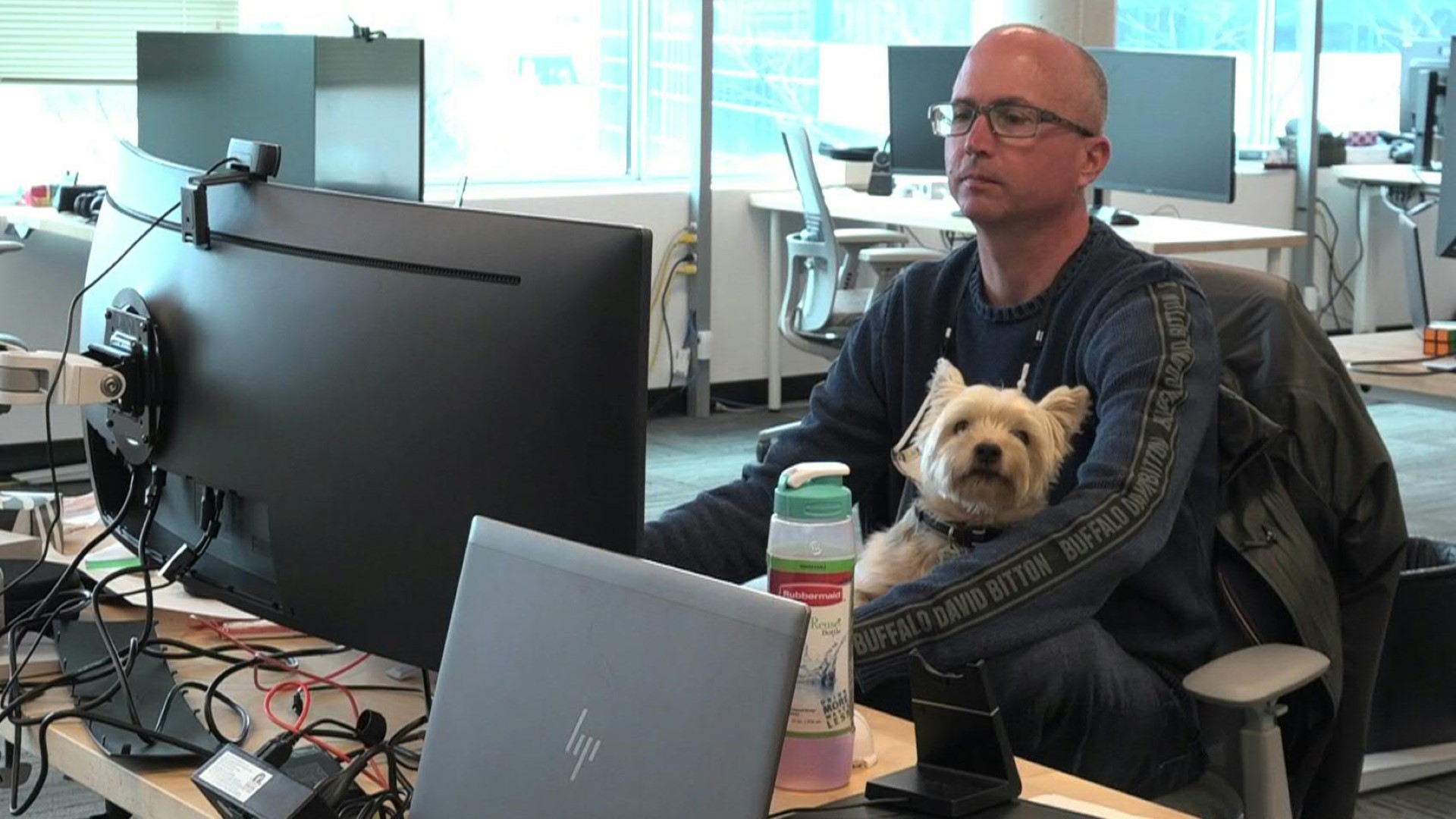 En Tungsten Collaborative, una empresa canadiense de diseño, las mascotas tienen derecho a entrar a la oficina con sus dueños. Según la gerencia, la pandemia volvió a las empresas más tolerantes con la presencia de mascotas en el trabajo.