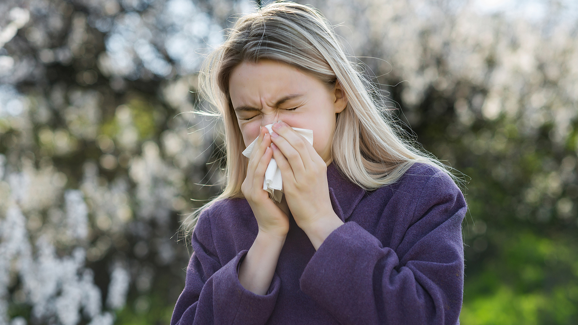 Qué son las alergias estacionales, cuáles son sus síntomas y cómo combatirlas