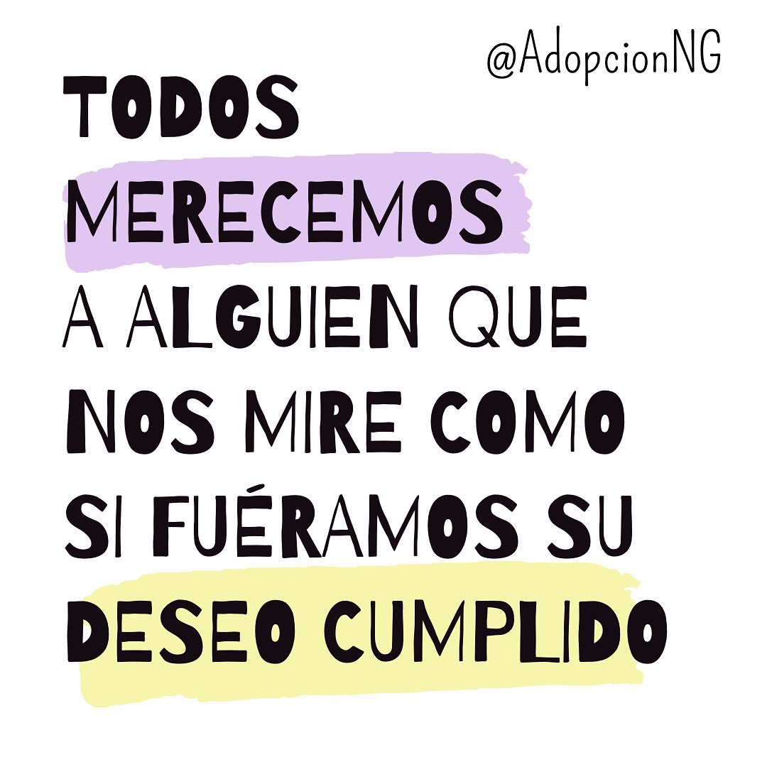 A través de sus redes sociales, el colectivo realiza una campaña de difusión y concientiza sobre la adopción nuestro país (Instagram @AdopcionNG)