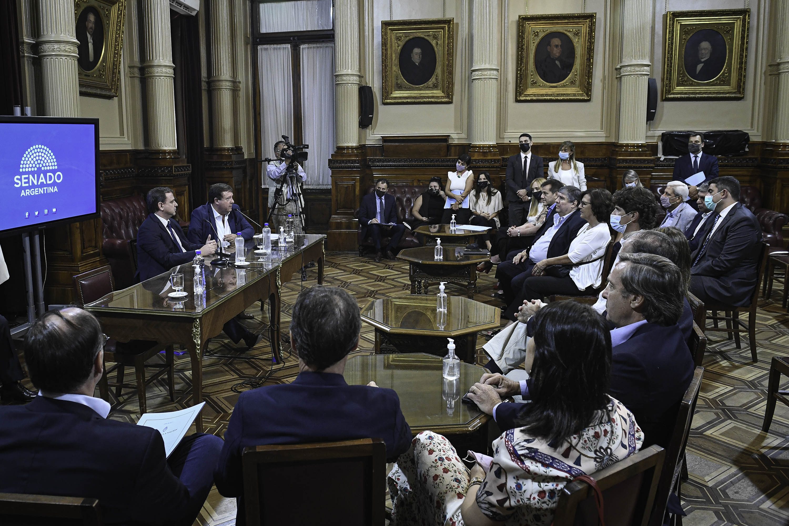 La Comisión de Asuntos Constitucionales del Senado, presidida por Guillermo Snopek