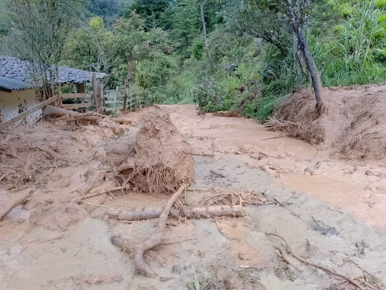 En el pasado 2022, el municipio de Abriaquí, Antioquia, vivió emergencias por las lluvias el pasado. Dagran