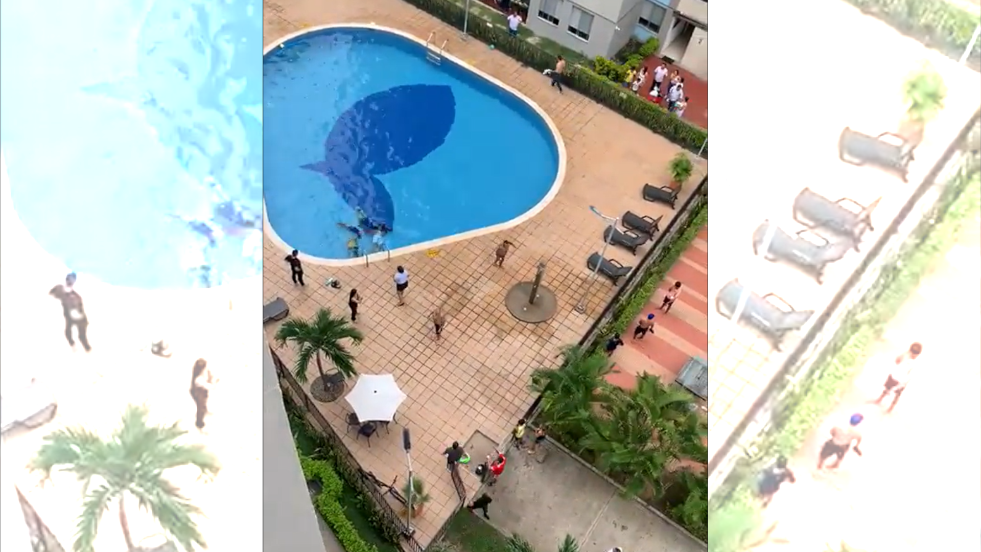 Video: el angustioso rescate de dos niños y dos adultos tras una descarga eléctrica en una piscina en Neiva (Huila)