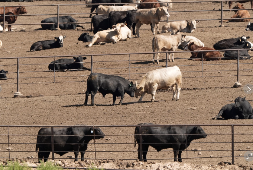 El Ejército de Estados Unidos pidió explicaciones al régimen de Irán por la incautación del petrolero Talara en el golfo Pérsico