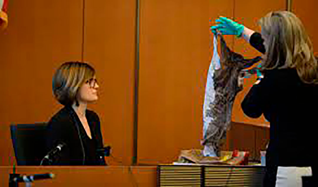 La fiscal muestra los pantalones ensangrentados durante el juicio por la violación y crimen de Colleen 