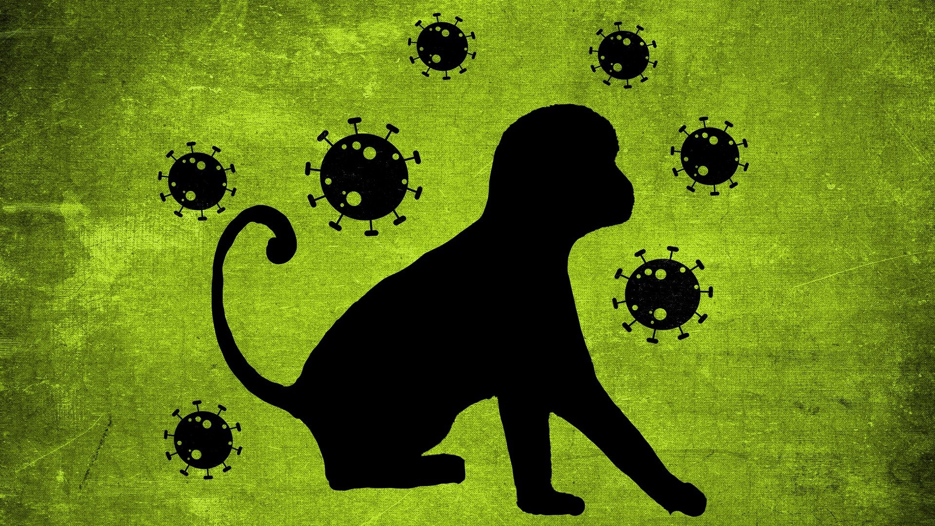 Viruela del mono en Colombia: ya van 20 casos confirmados de la enfermedad en el país