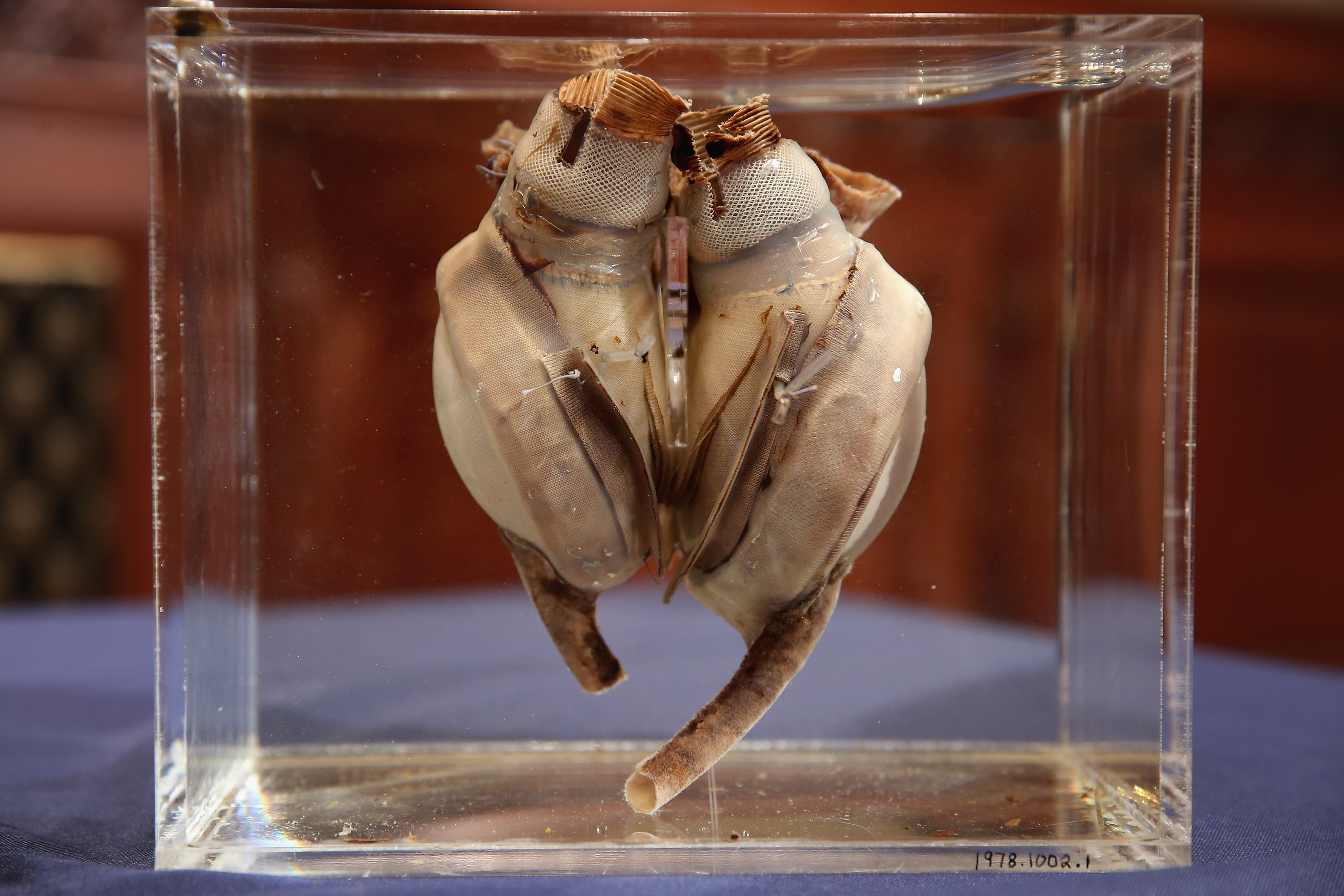 Il primo cuore artificiale impiantato in un essere umano, sviluppato da Liotta, insieme a Cooley / (Chip Somodevilla/Getty Images)