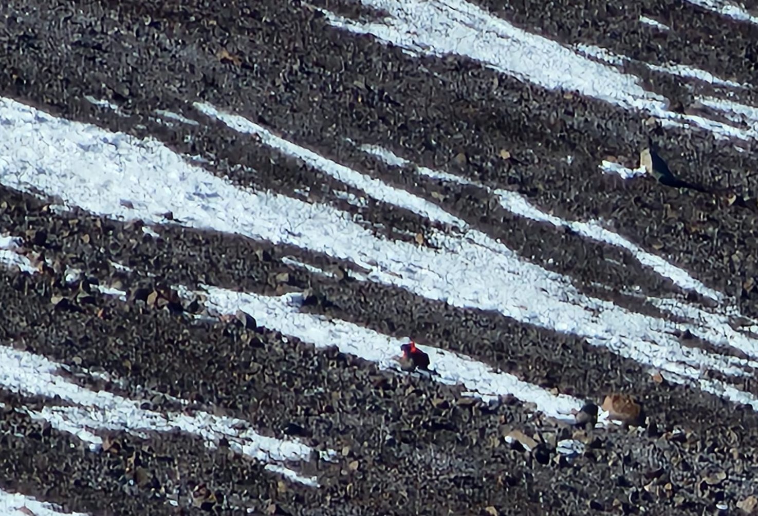 Plazo fijo: cuánto pagan los principales bancos por depósitos de $1 millón