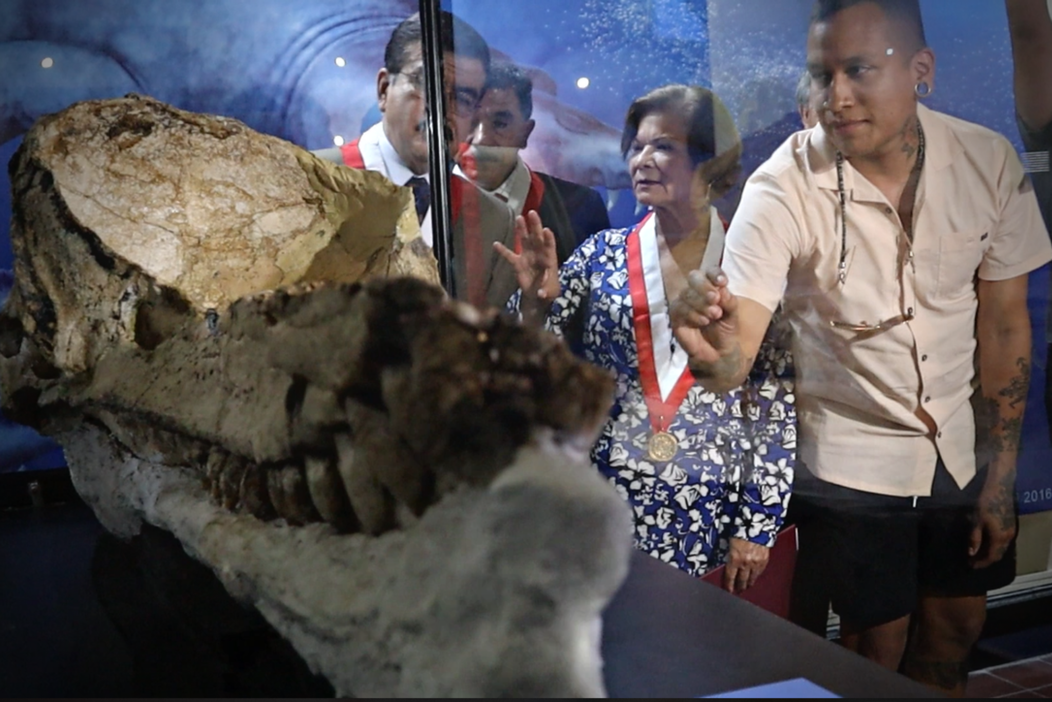 El fósil descubierto por Mario Urbina, miembro del equipo de paleontología de vertebrado. (Infobae/Paula Elizalde)