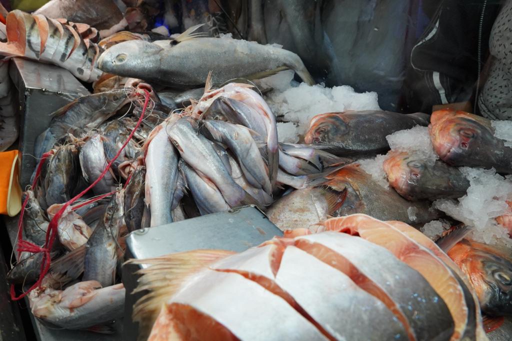 Más de 800 toneladas de pescado llegaron a Corabastos para Semana Santa