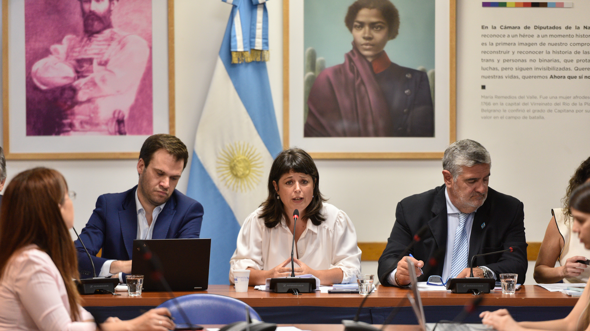 Reunión de la Comisión de Juicio Político (Foto: Adrián Escandar)