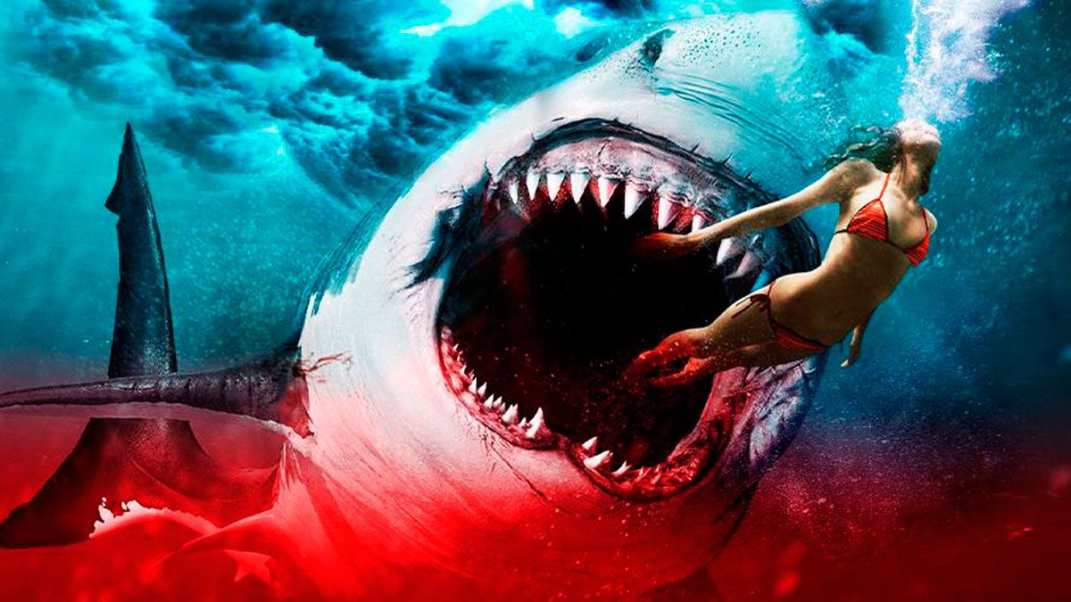 Explorando las profundidades del streaming: 6 películas con tiburones  asesinos que debes ver - Infobae