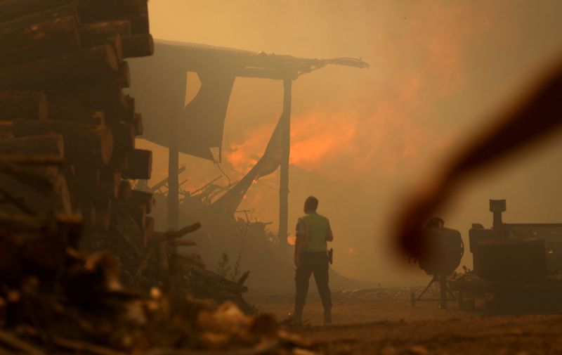 En Portugal, unos 800 bomberos seguían luchando el lunes contra cuatro incendios activos en el centro y el norte (REUTERS/Rodrigo Antunes)