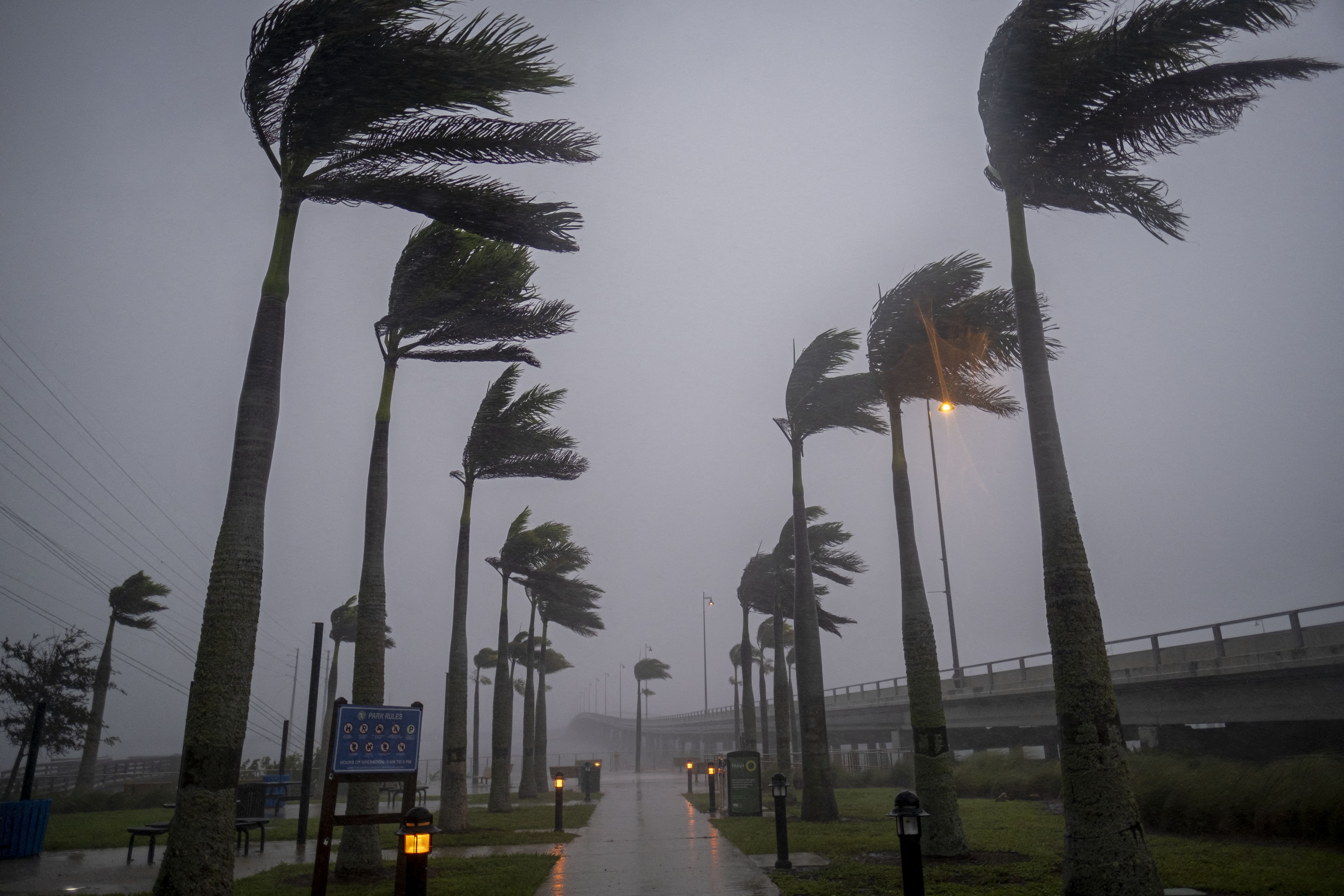 El viento sopla palmeras antes del huracán Ian en Charlotte Harbor, Florida, el 28 de septiembre de 2022. (Ricardo ARDUENGO / AFP)