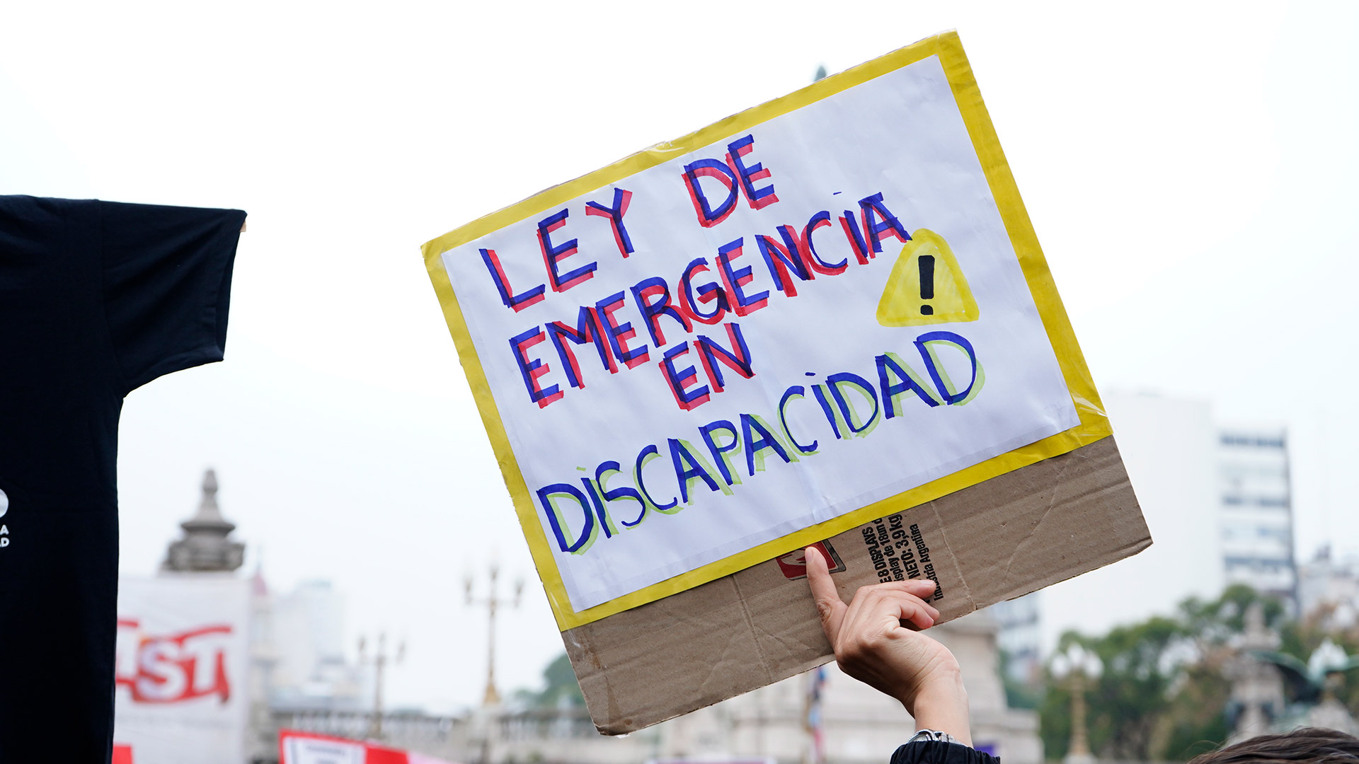 Convocaron a una movilización frente al Congreso para rechazar el veto a la ley de emergencia en discapacidad