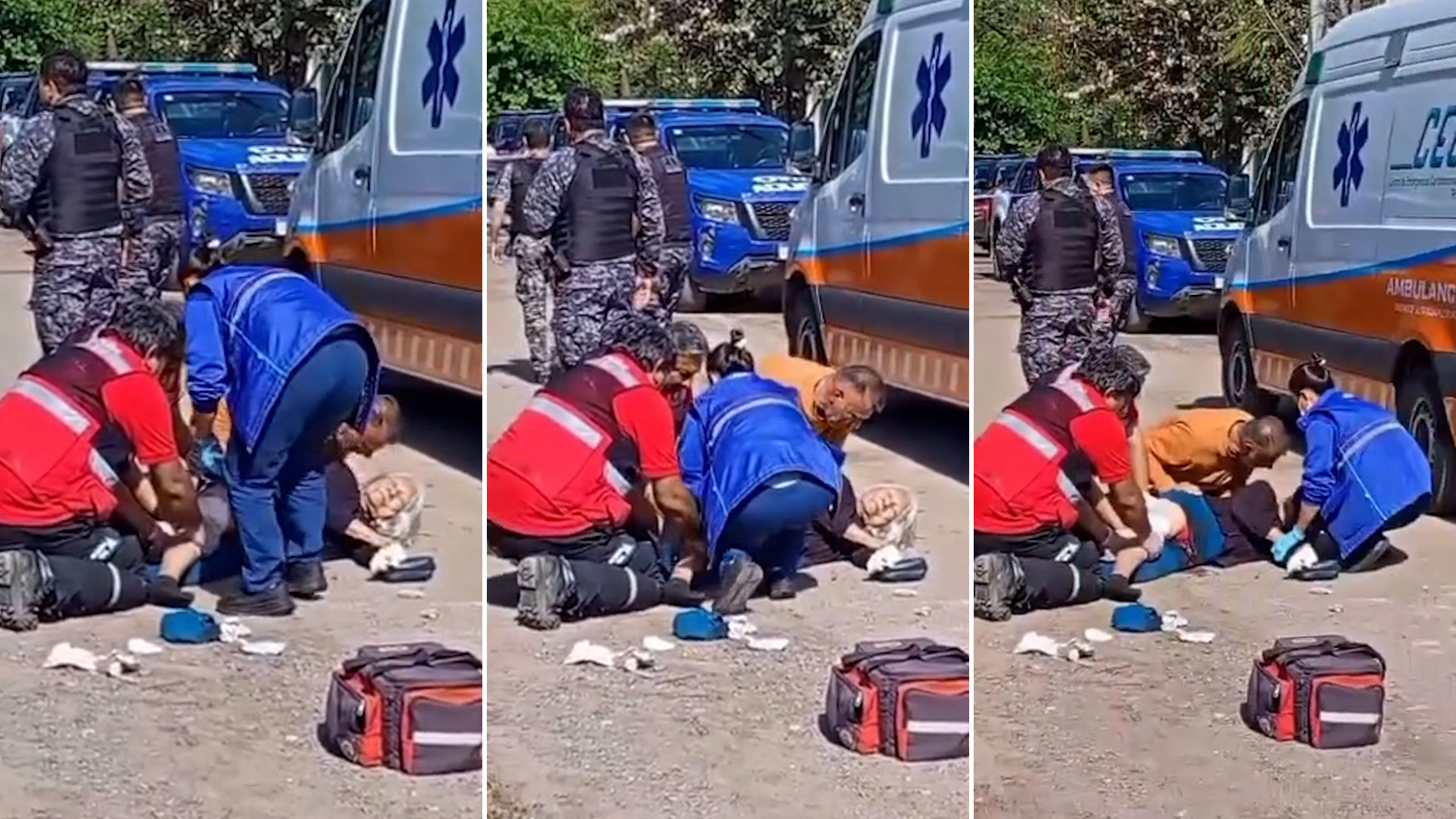 C&oacute;rdoba: un pitbull atac&oacute; a una jubilada, la dej&oacute; en grave estado y los vecinos apu&ntilde;alaron al animal para frenarlo