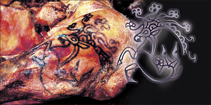 El hombro de la Princesa de Ukok, el tatuaje de un animal fantástico y un dibujo hecho por científicos siberianos (Siberian Times)