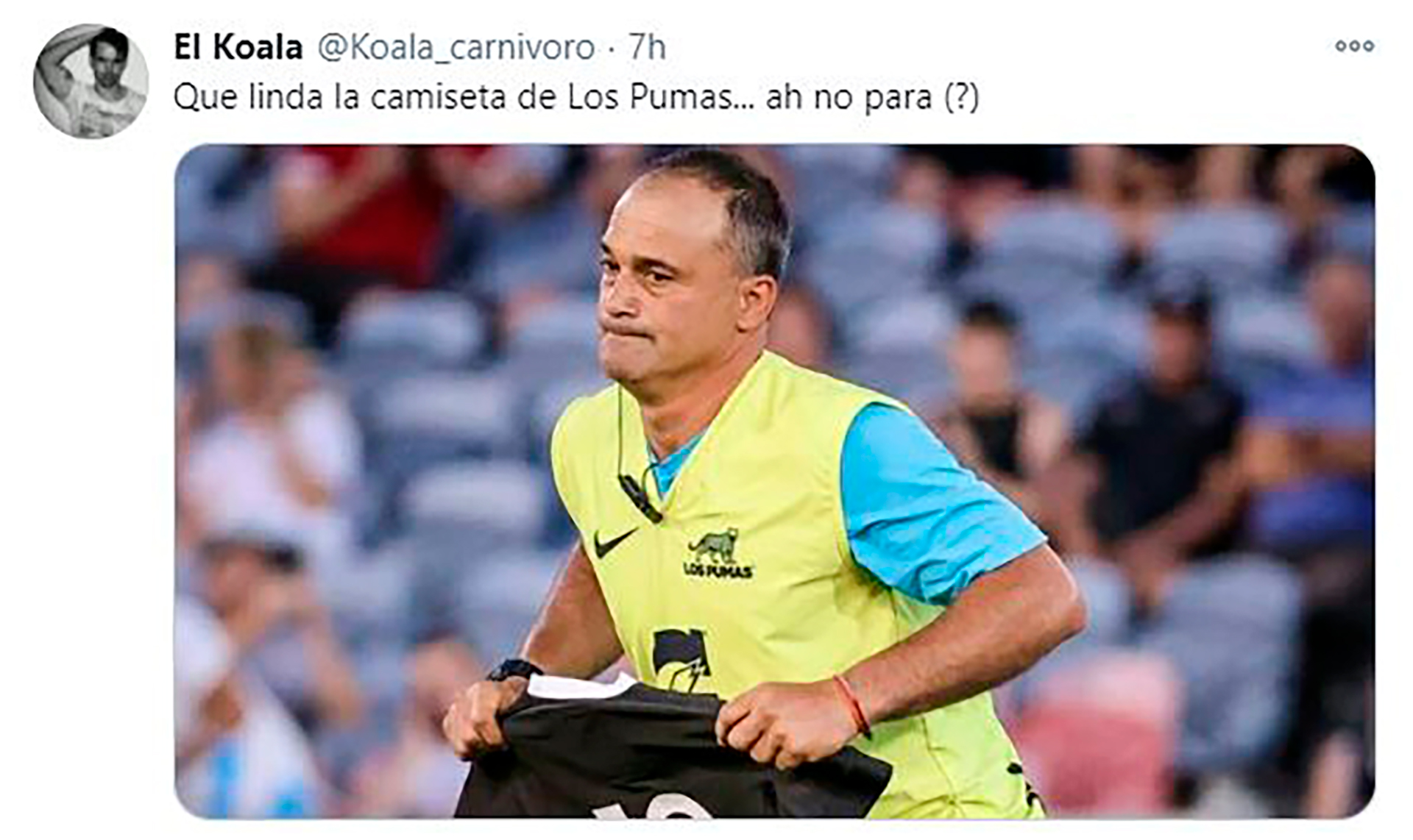 Especialista Correspondiente a descuento Los memes en las redes contra Los Pumas por no homenajear a Maradona en el  duelo ante los All Blacks - Infobae