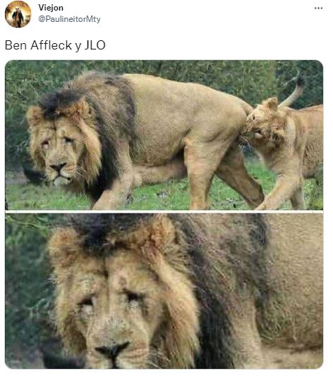 (Foto: Captura de pantalla)