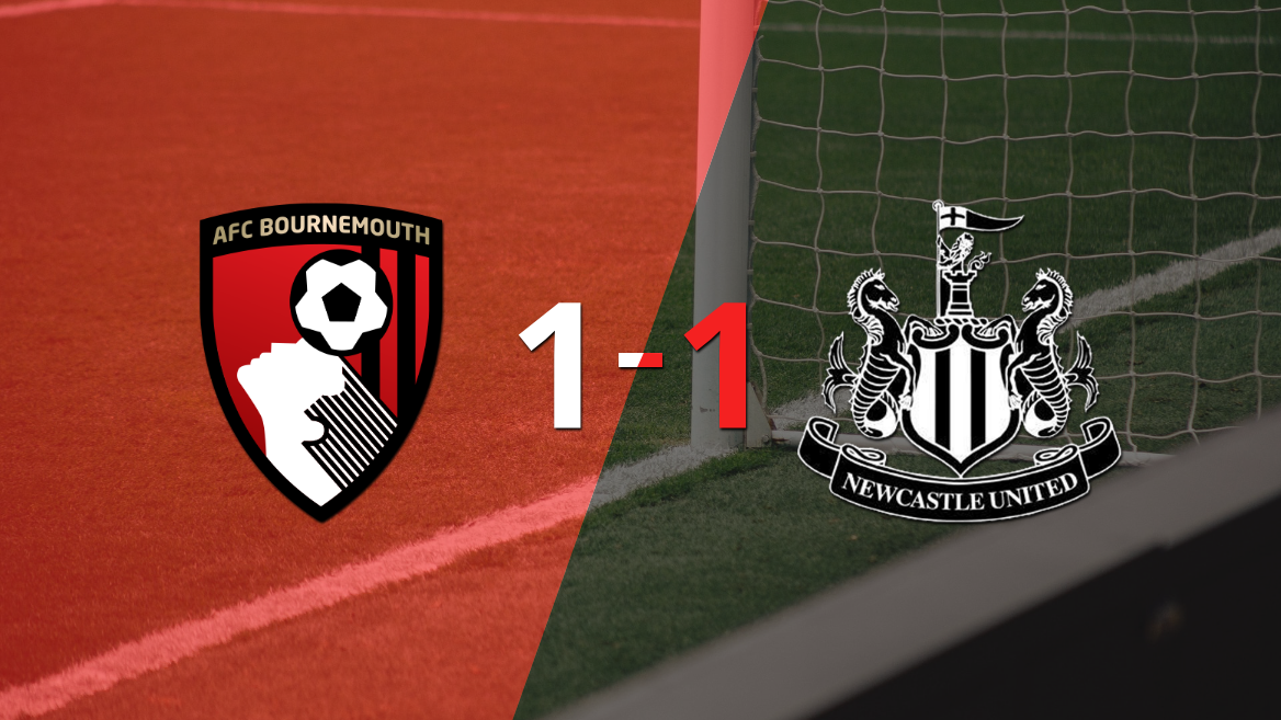 Bournemouth no pudo en casa ante Newcastle United y empataron 1-1