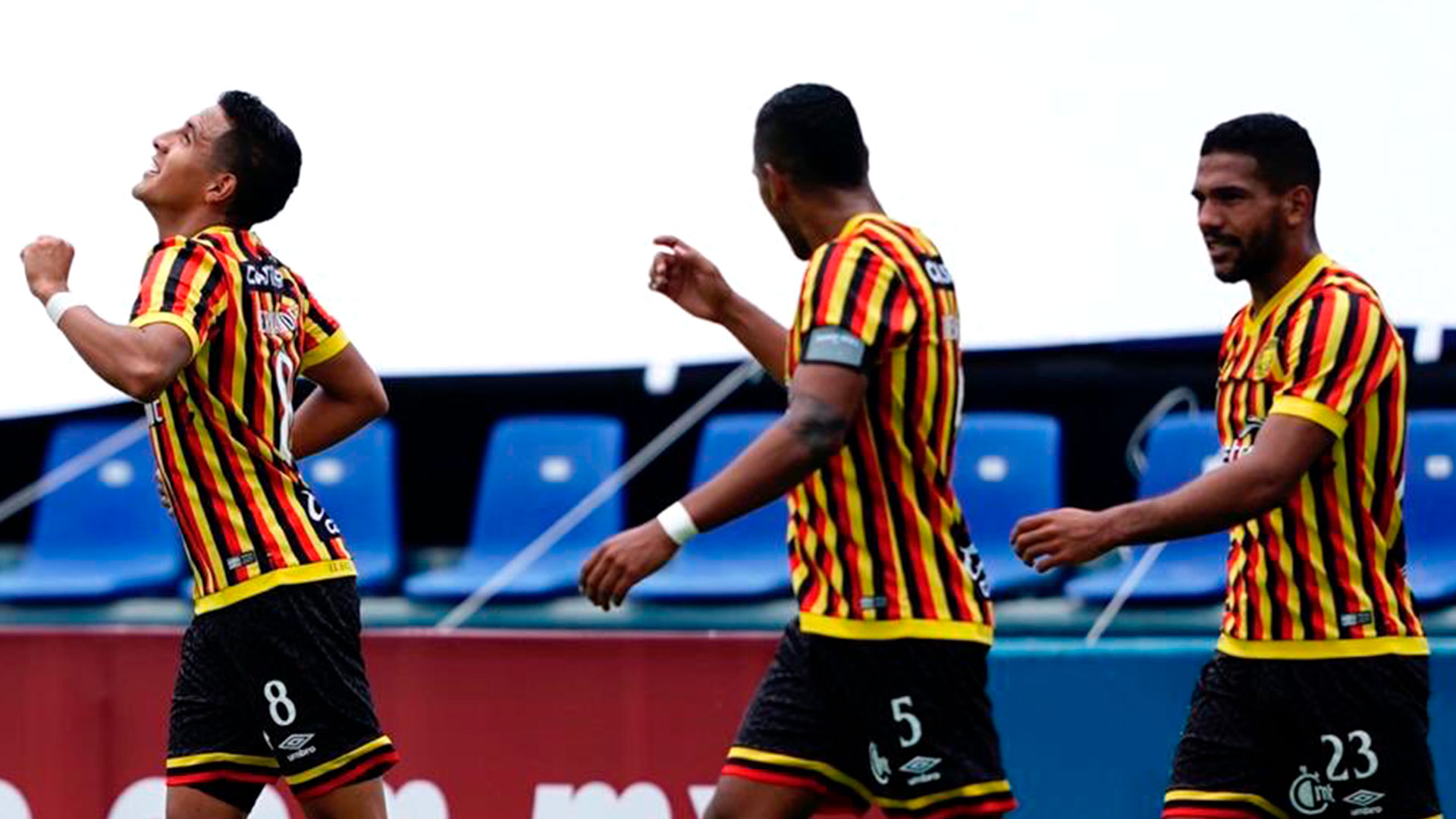 Leones Negros - Infobae