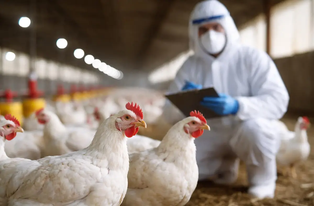 Brutal accidente fatal en Entre Ríos: un conductor perdió el control de su auto, volcó y murió