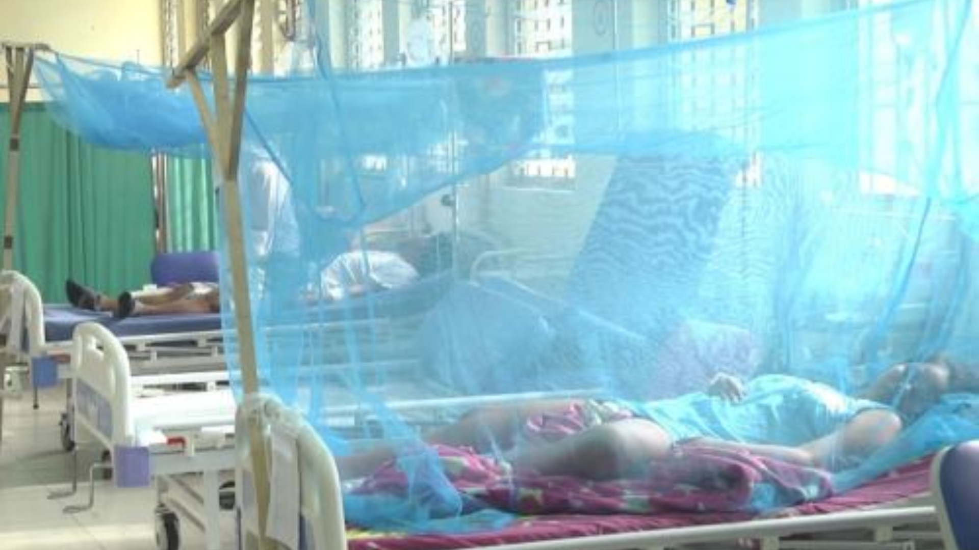 Pacientes con dengue grave deben aislarse para evitar ser picados nuevamente (Foto: Andina)