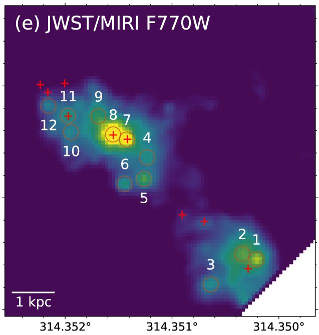 Las 12 fuentes de luz consistentes con la actividad de estallido estelar. (Inami et al., ApJL, 2023)