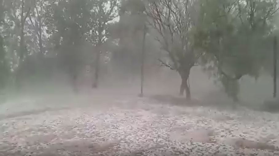 Cristina Fernández vuelve a la actividad política y en febrero el kirchnerismo iniciará una campaña por su liberación 