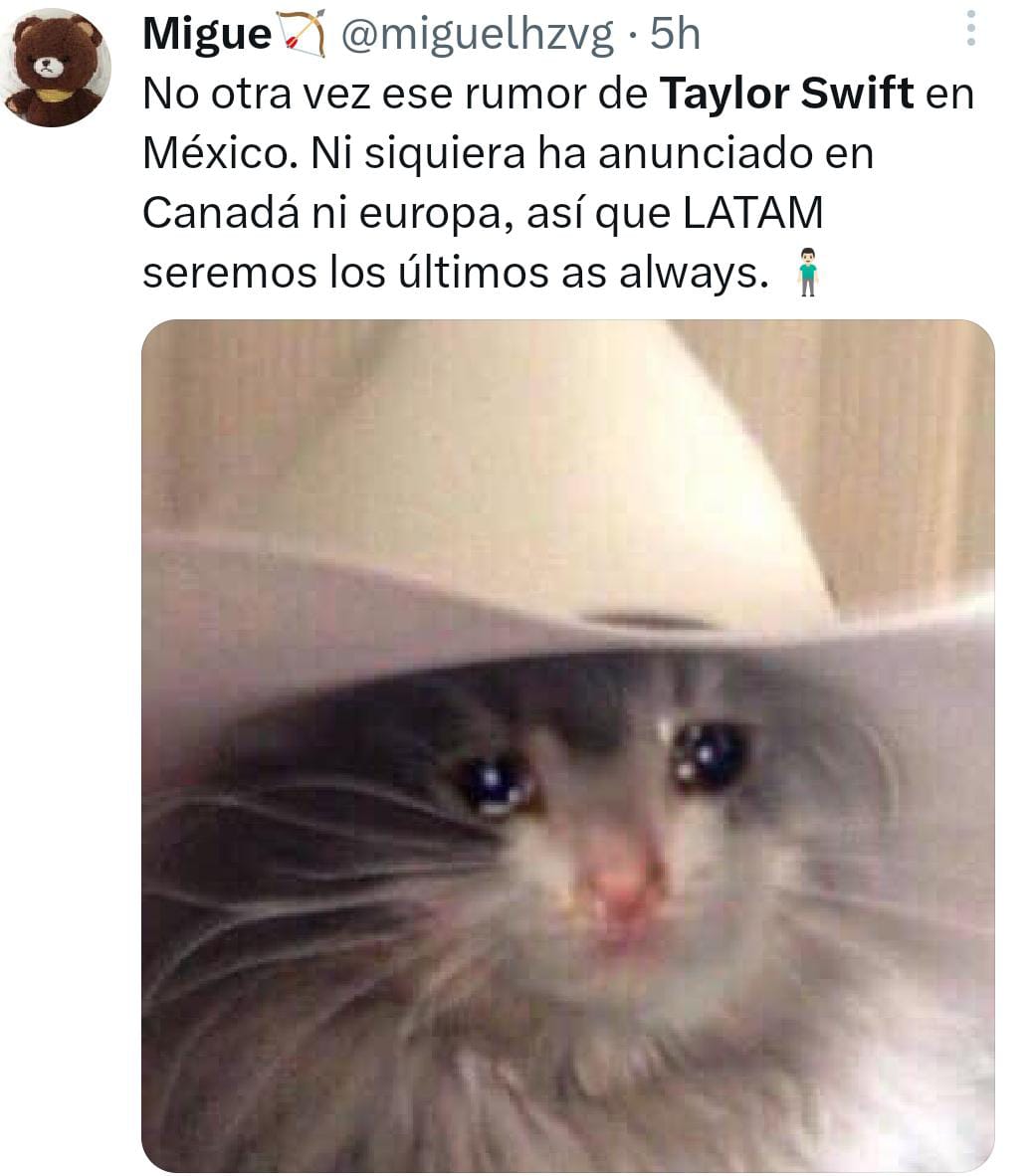 Los Mejores Memes Que Dejó Taylor Swift Y Su Posible Concierto En