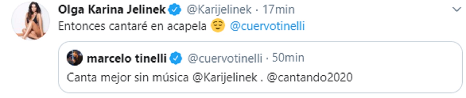 La respuesta de Karina Jelinek al mensaje de Marcelo Tinelli