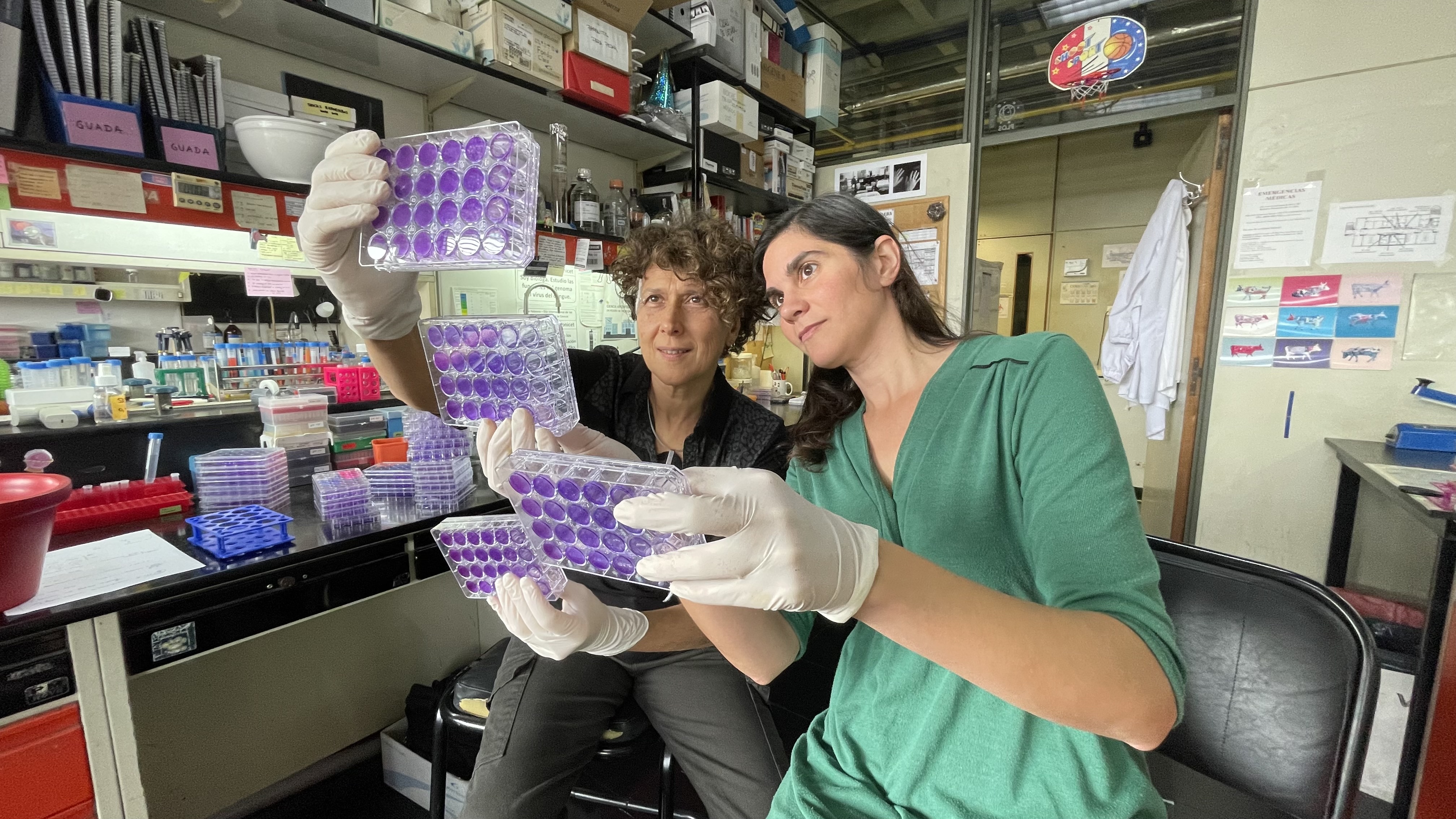 Andrea Gamarnik (a la izquierda) y Mora González López Ledesma son las científicas que descubrieron un mecanismo que el virus del dengue usa para controlar la respuesta de las células humanas y poder infectarlas con éxito (Archivo)