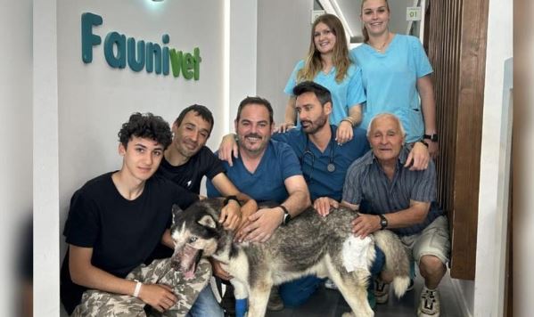 El equipo médico con Damián y Rex, el perro husky operado (gentileza Clínica Faunivet)