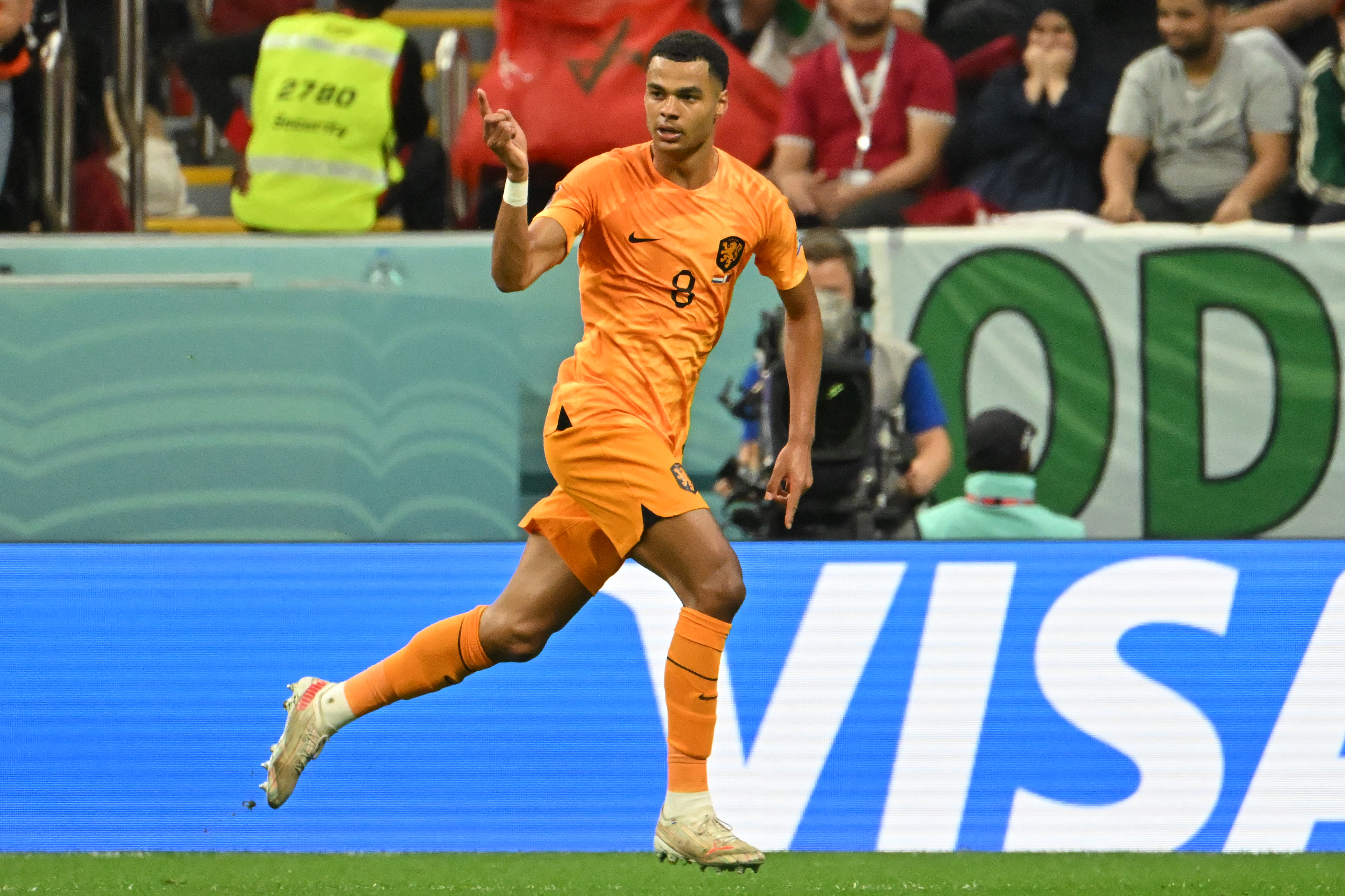 Cody Gakpo es la joven estrella de los Países Bajos y lleva tres goles en este Mundial (Alberto PIZZOLI / AFP)