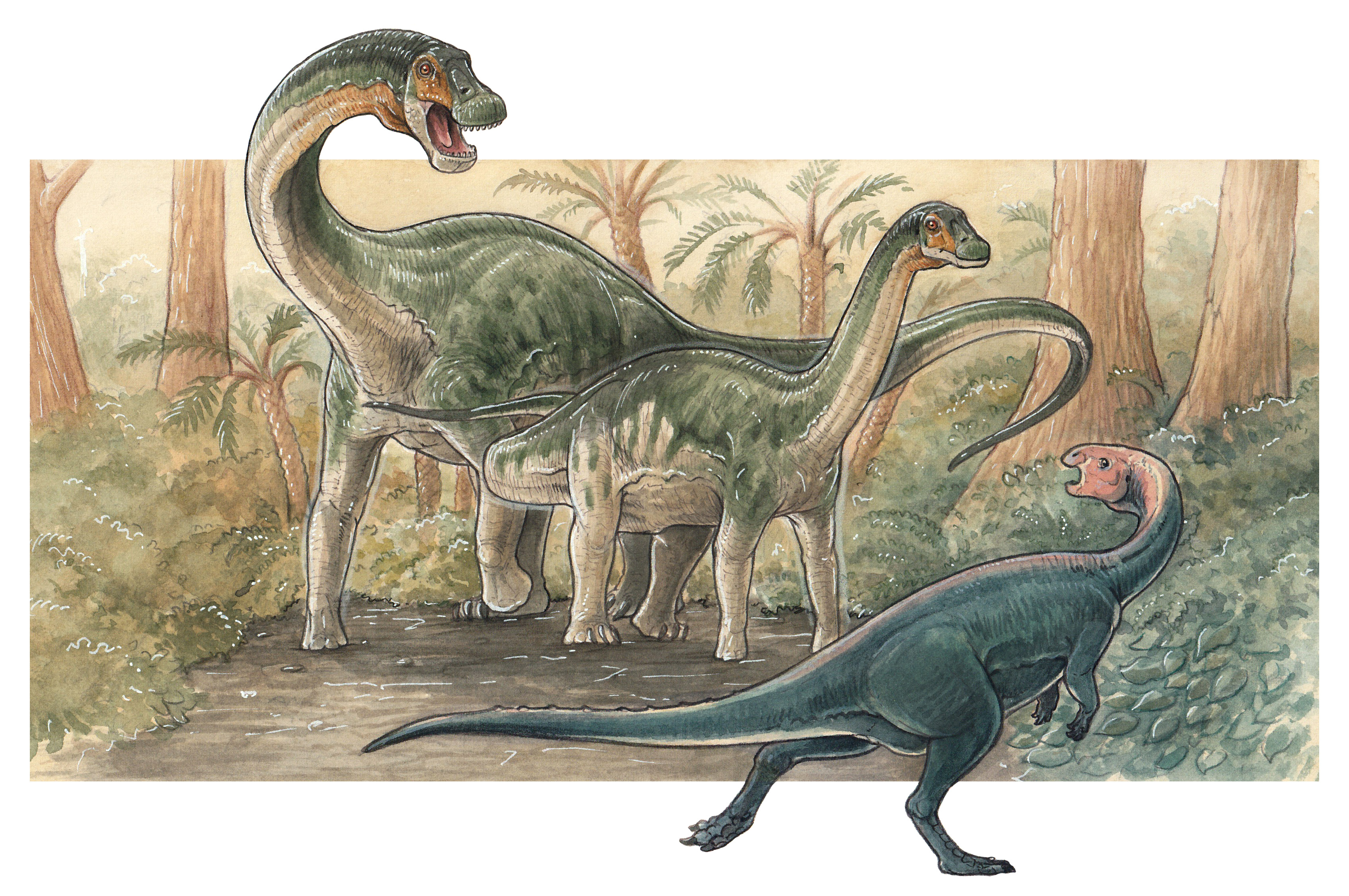 “Estamos desesperados y pedimos una fe de vida”, aseguró la esposa del abogado argentino secuestrado en Venezuela