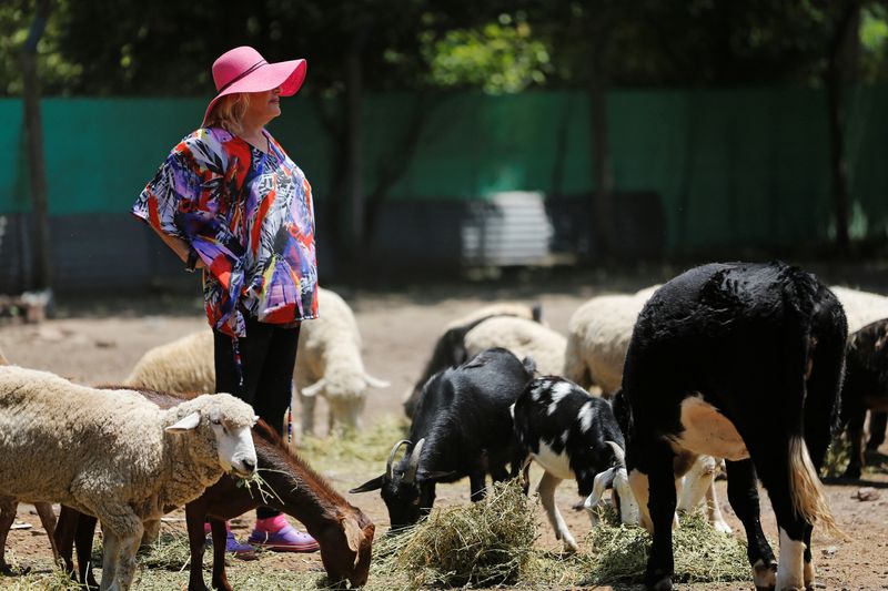 El desesperado pedido de ayuda de un santuario de animales que alberga m&aacute;s de 850 especies: c&oacute;mo colaborar