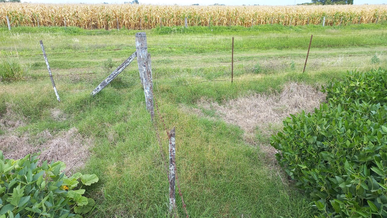 Un nene muri&oacute; electrocutado tras tocar un cero perimetral mientras jugaba en Corrientes 