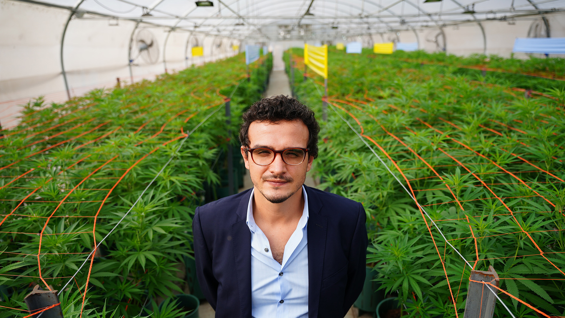 Gastón Morales, presidente de Cannava, la sociedad estatal formada por Jujuy para producir cannabis medicinal
(Foto: Franco Fafasuli)
