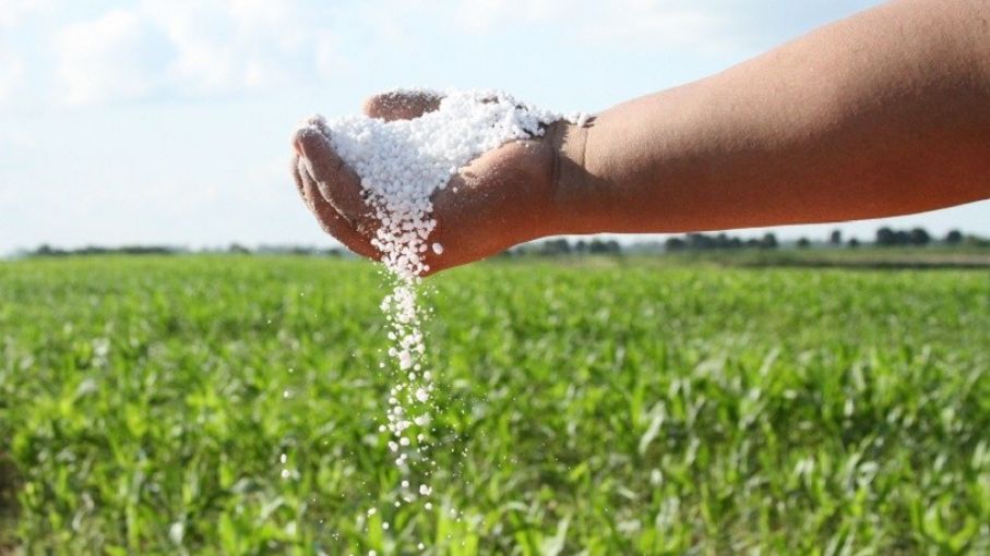 De acuerdo con el Midagri, son 186.069 productores agrícolas empadronados, de los cuales podrían acceder al fertilizante importado solo 137.736 de concretarse la compra con Direcagro.