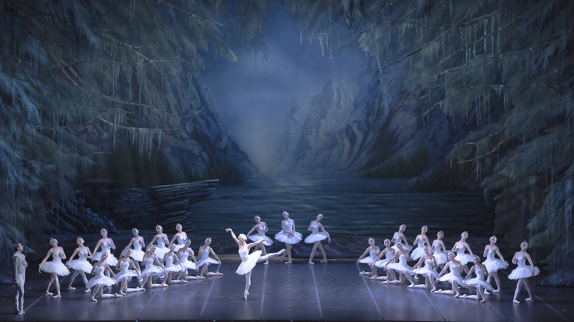El Teatro Colón agregará otra función del ballet del “Lago de los Cisnes”: cómo conseguir entradas y cuánto cuestan 